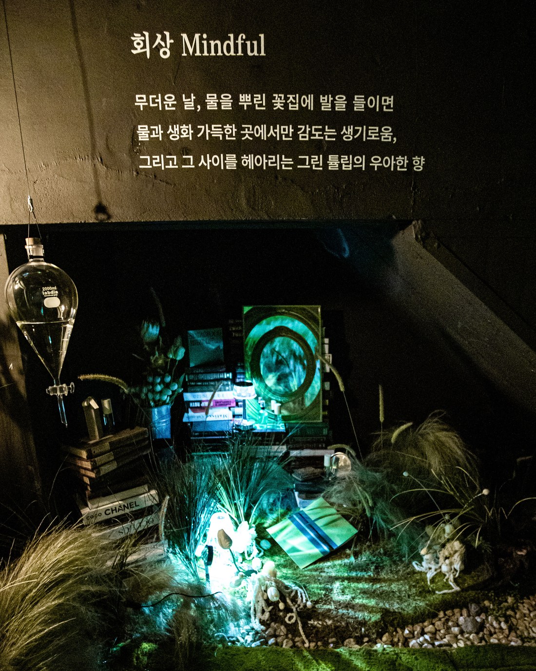 성수 라이브러리 플래그십 스토어